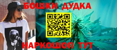 гидра Камышлов