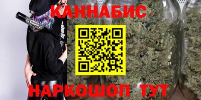 гидра Камышлов