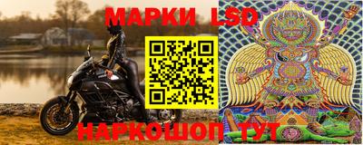 гидра Камышлов