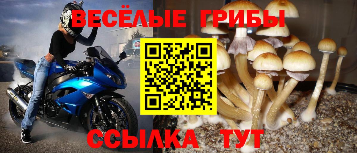 Находка  Галлюциногенные грибы мухоморы  Вход с VPN 