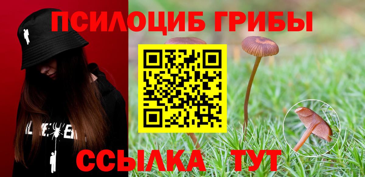 Галлюциногенные грибы GOLDEN TEACHER Находка